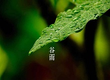 《谷雨》過了清明，就是谷雨。村莊里，田野里，村路上，草木間，人家的院落里，人們的臉上，到處都是春天的閑意思了。[詳細]