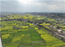 《家山》：生生不息的民族史詩(shī)　　在我的觀察當(dāng)中，很多傳統(tǒng)的鄉(xiāng)村社會(huì)的東西，現(xiàn)在還是保留著，傳統(tǒng)文化也保存得比較好……[詳細(xì)]