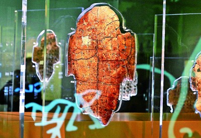 河南安陽殷墟博物館新館內(nèi)展出的刻辭卜甲。 新華社記者 李安攝 