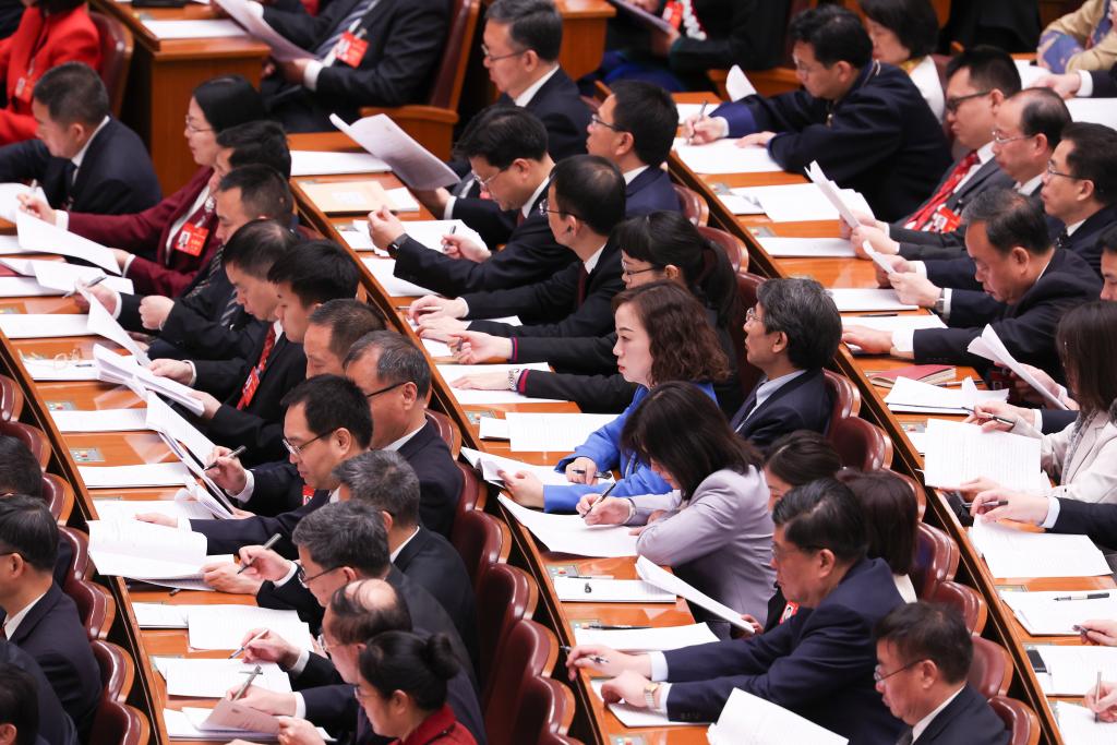 3月8日，十四屆全國人大二次會議在北京人民大會堂舉行第二次全體會議。新華社記者 王婧嬙 攝