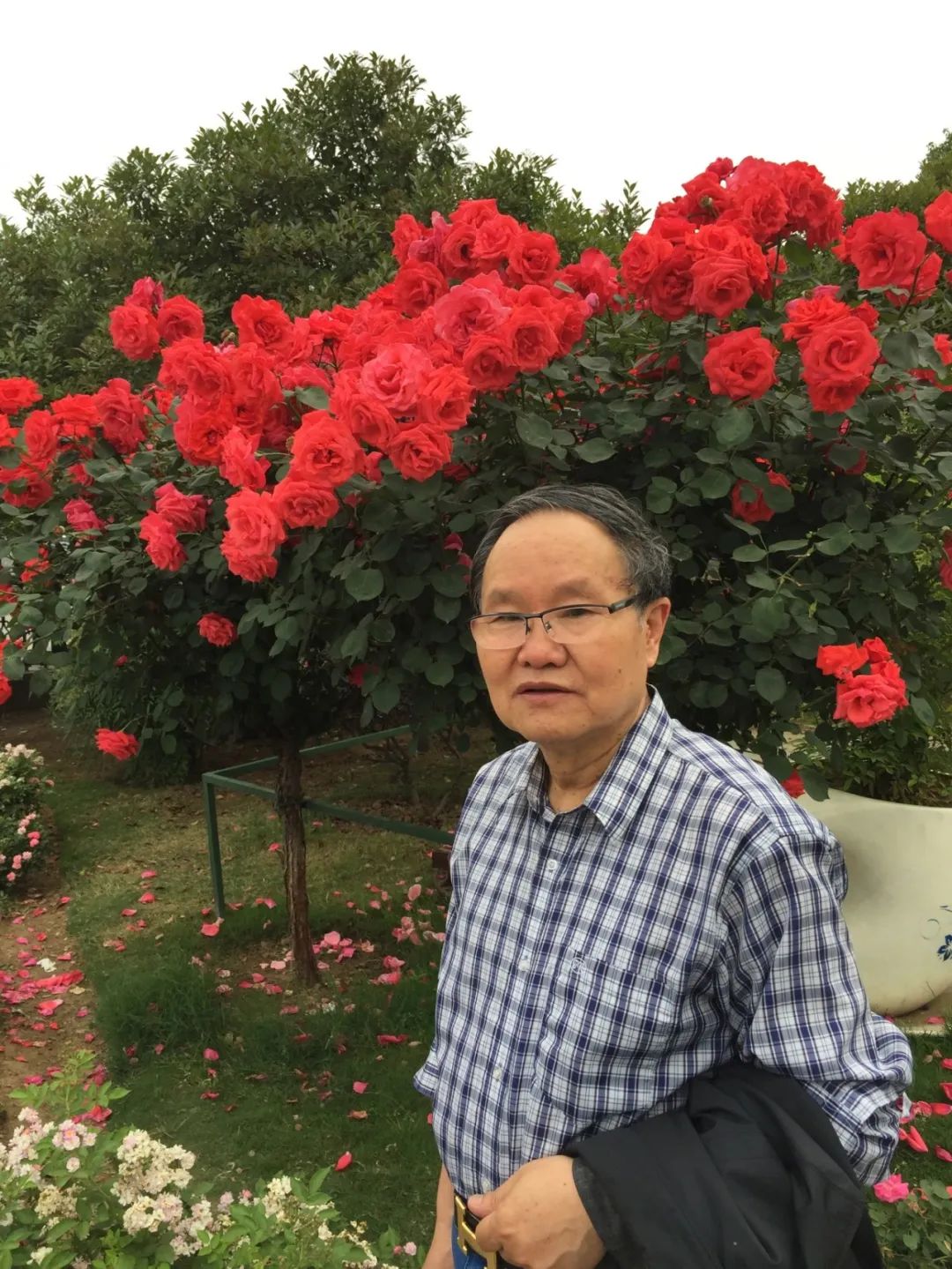 【劉慶邦，1951年生于河南沈丘。著有長篇小說《斷層》《遠(yuǎn)方詩意》《平原上的歌謠》《紅煤》《遍地月光》《黑白男女》《女工繪》《花燈調(diào)》等十四部，中短篇小說集、散文集《走窯漢》《梅妞放羊》《遍地白花》《響器》《黃花繡》《到處有道》等七十余部。《劉慶邦短篇小說編年》十二卷。短篇小說《鞋》獲第二屆魯迅文學(xué)獎(jiǎng)。中篇小說《神木》《啞炮》獲第二屆和第四屆老舍文學(xué)獎(jiǎng)。中篇小說《到城里去》和長篇小說《紅煤》分別獲第四屆、第五屆北京市文學(xué)藝術(shù)獎(jiǎng)。長篇小說《遍地月光》獲第八屆茅盾文學(xué)獎(jiǎng)提名。長篇小說《黑白男女》獲首屆吳承恩長篇小說獎(jiǎng)。長篇小說《家長》獲第二屆南丁文學(xué)獎(jiǎng)。長篇散文《陪護(hù)母親日記》獲第二屆孫犁散文獎(jiǎng)。曾獲北京市首屆德藝雙馨獎(jiǎng)，首屆林斤瀾杰出短篇小說作家獎(jiǎng)，第十屆冰心散文獎(jiǎng)。獲《北京文學(xué)》獎(jiǎng)十五次；《十月》文學(xué)獎(jiǎng)七次；《小說月報(bào)》百花獎(jiǎng)八次等。根據(jù)其小說《神木》改編的電影《盲井》獲第53屆柏林電影藝術(shù)節(jié)銀熊獎(jiǎng)。1990年加入中國作家協(xié)會(huì)，為中國煤礦作家協(xié)會(huì)名譽(yù)主席，北京作家協(xié)會(huì)原副主席，一級(jí)作家，北京市第十、第十一、第十二屆政協(xié)委員，中國作家協(xié)會(huì)第五、第六、第七、第八、第九屆全國委員會(huì)委員?！?></p>
<p style=